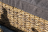 Пуф Лунго гиацинт соломенный в Самаре 