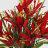 Букет из цветов лилейника Конэко-О 40613 в Самаре 