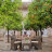 Комплект садовой мебели Mandella Karizma коричневый из 3 предметов в Самаре 