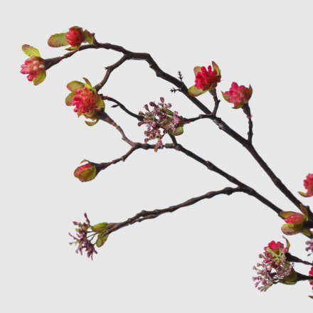 Ветка с цветами Конэко-О 108514 в ассортименте в Самаре 