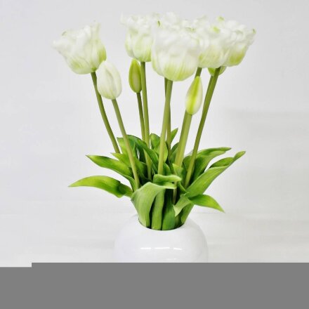Тюльпаны Конэко-О 10150_х2_10161 в белом кашпо 45 см в Самаре 