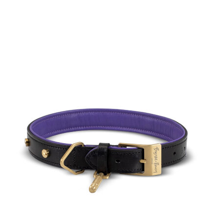 Black Purple Brass Ошейник для собак L в Самаре 