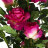 Цветок искусственный Tianjin Роза Тёмно-розовая в кашпо 137 см в Самаре 